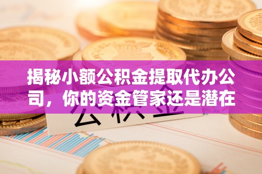 广陵揭秘小额公积金提取代办公司，你的资金管家还是潜在风险？